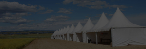 carpas a medida alquiler venta aracarpas