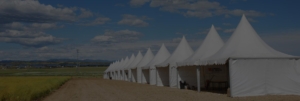 carpas a medida alquiler de carpas venta aracarpas