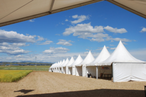 carpas a medida alquiler de carpas venta aracarpas