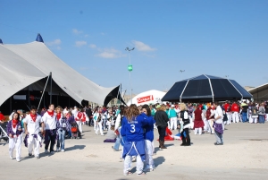 interpenas zaragoza carpa