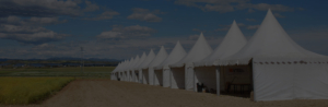alquiler de carpas