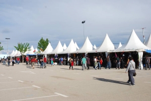 vinarock