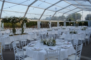 carpa para bodas - ARACARPAS, alquiler de carpas para eventos privados