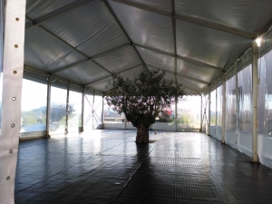 carpa para gimnasio ARACARPAS Carpa Eurocopa