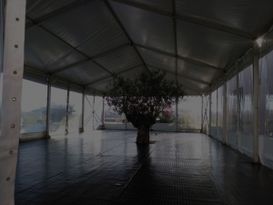 Carpa para gimnasio ARACARPAS Empresa de Carpas para deporte