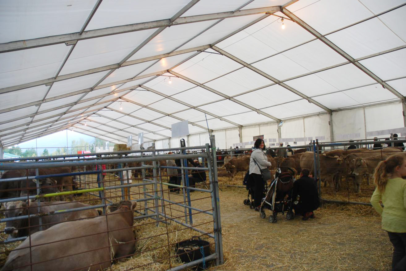 Carpas para Feria de Otoño de Biescas | ARACARPAS - Empresa de carpas, jaimas y cerramientos